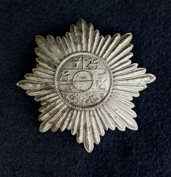 Mecklenburg Strelitz Model 1915 Frontplate - Ultra Rare Visuel 1 principal